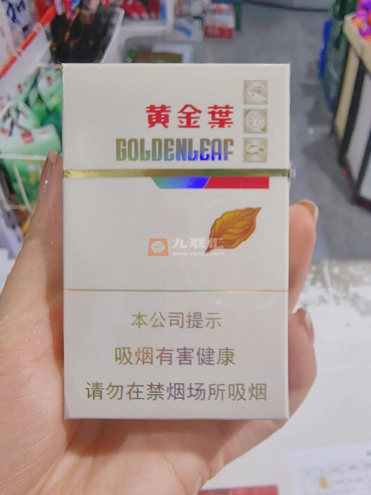 黄金叶金丝路相册 92605_14177