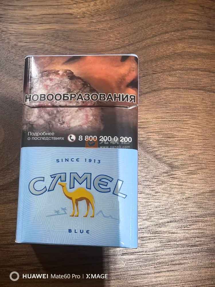 骆驼(硬蓝俄罗斯版)相册 115328_29657