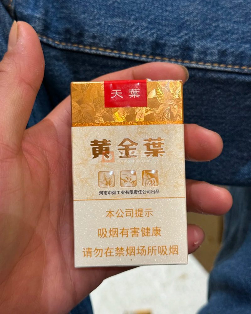 黄金叶(软天叶)相册 106395_95317