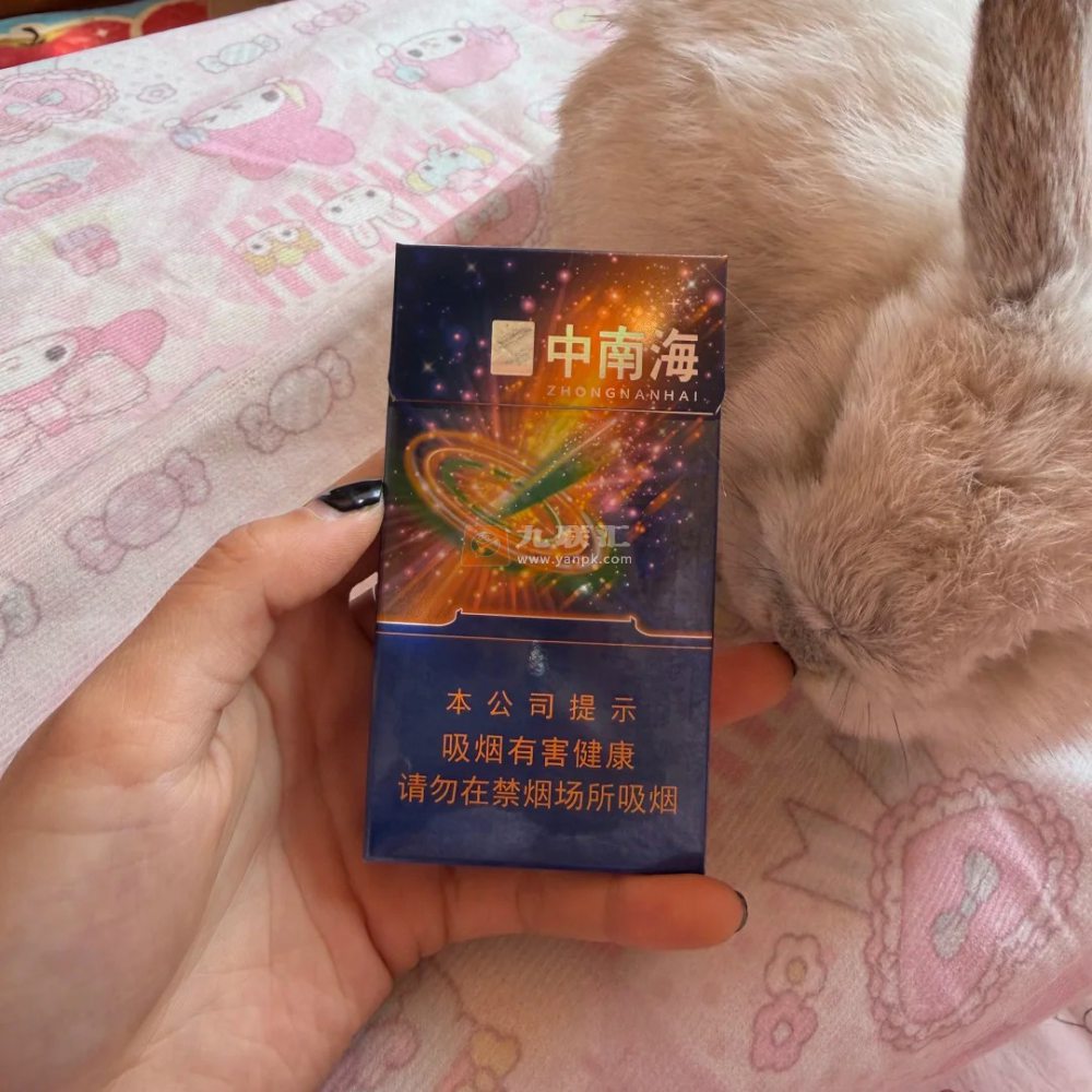 中南海(冰耀细支)