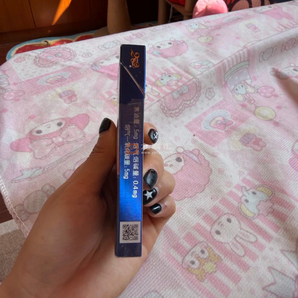 中南海(冰耀细支)