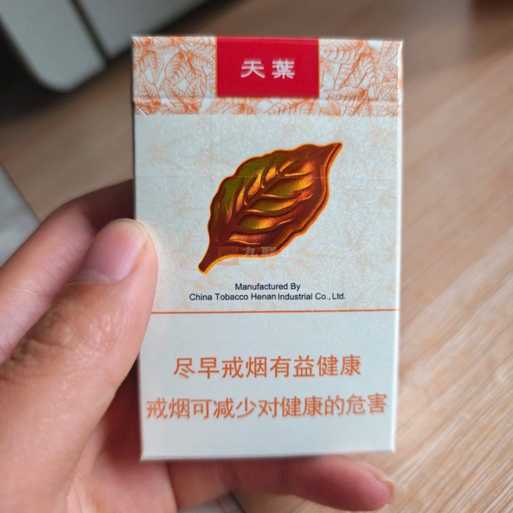 黄金叶(天叶)相册 290_33098