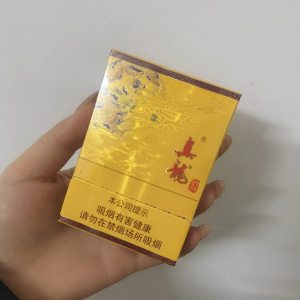 真龙(凌云中支)