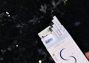 双喜(春天白月光)