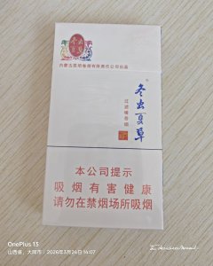 冬虫夏草(和润)