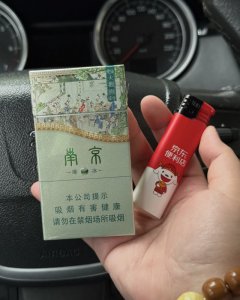 南京(大观园爆冰)