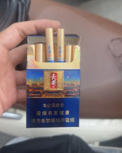 好猫(烟火长安)