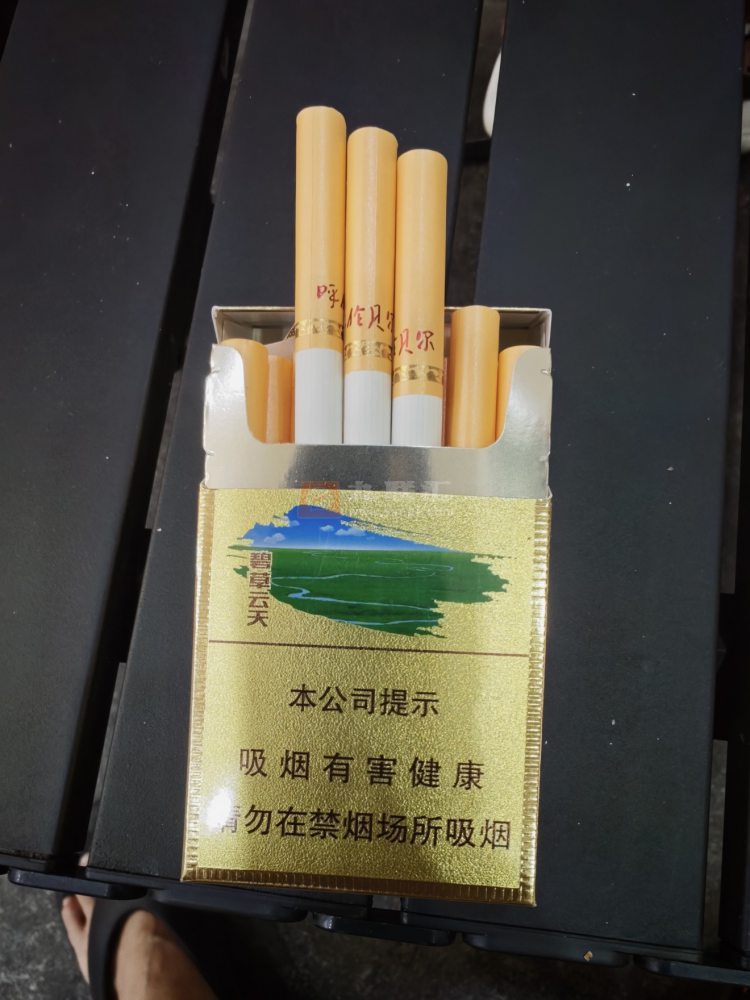 云烟(呼伦贝尔碧草云天)相册 93696_61951