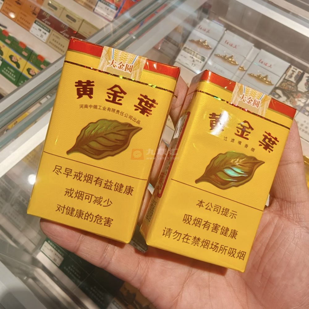 黄金叶(软大金圆)相册 291_21425