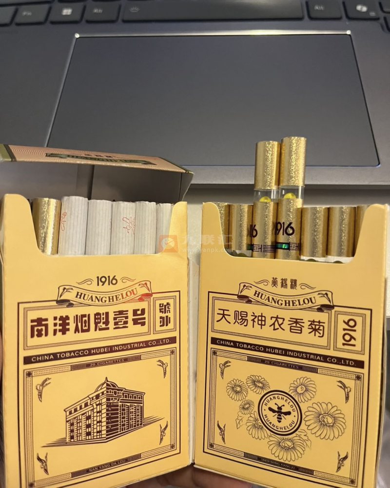 黄鹤楼(硬1916小蜜蜂)相册 115113_70378