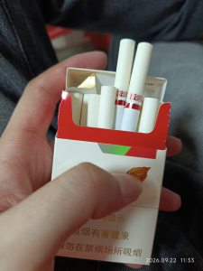黄金叶金丝路相册 