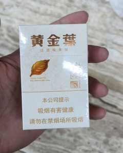 黄金叶(小天叶)