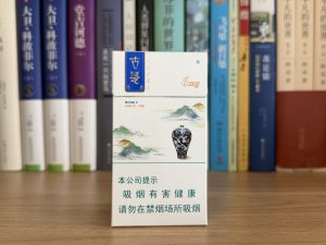 人民大会堂(古瓷细支)