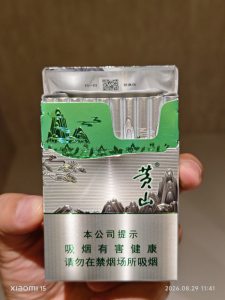 黄山(青淞中支)