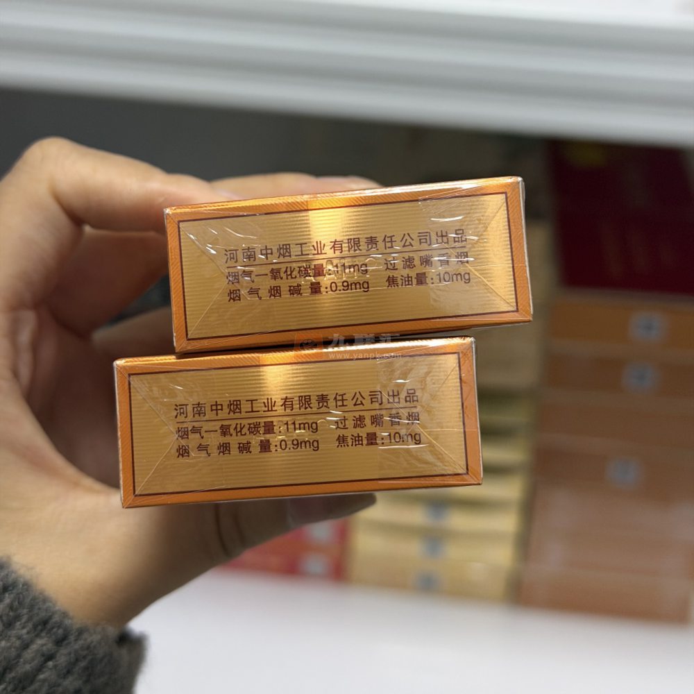 黄金叶(豫悦)相册 115207_10013