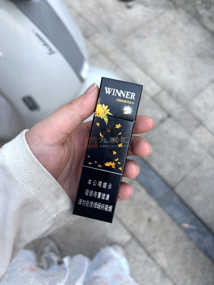 Winner(金桂)相册 115486_26803