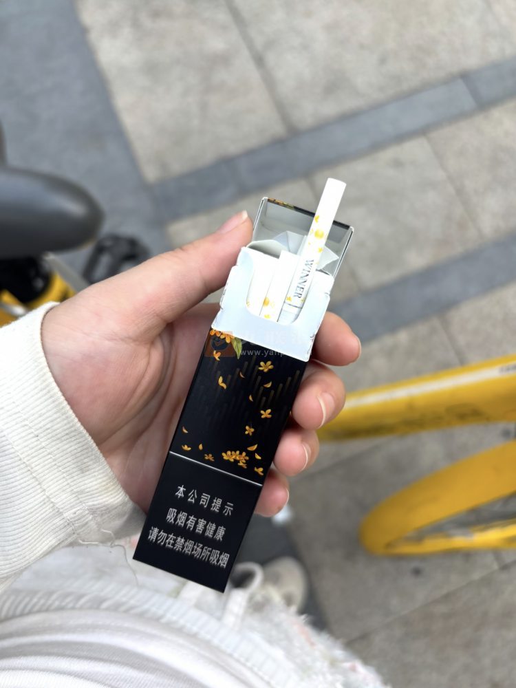 Winner(金桂)相册 115486_66782