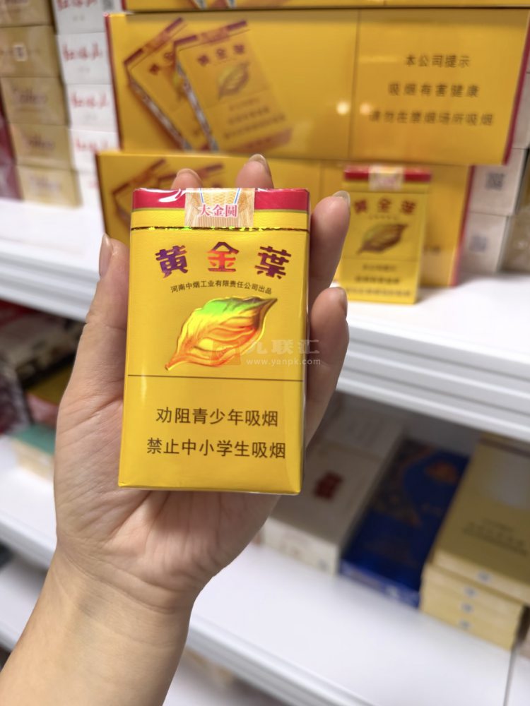 黄金叶(软大金圆)相册 291_99609