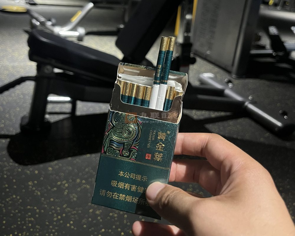 黄金叶(悦尚)相册 115295_36141
