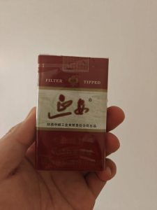 延安(软)