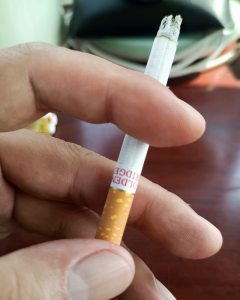 金桥(软混)相册 