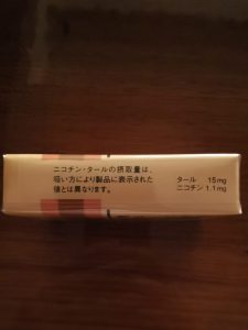 回声(软日版)