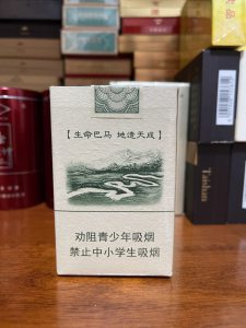 真龙(巴马天成)